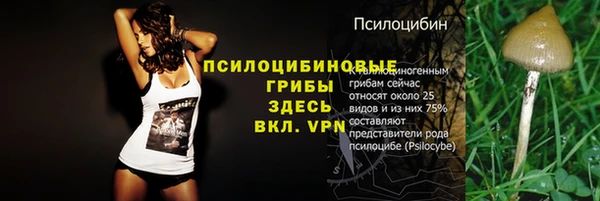 гидра Переславль-Залесский