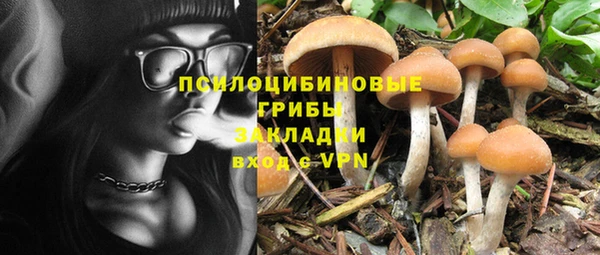 винт Армянск