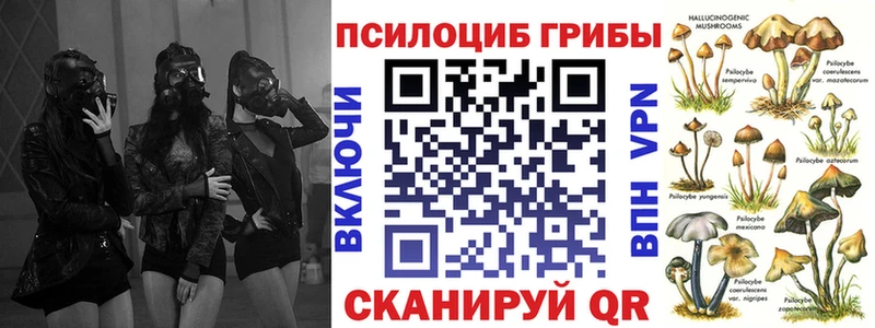 купить закладку  Порхов  Галлюциногенные грибы Psilocybe 